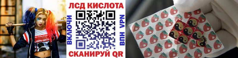 Марки NBOMe 1500мкг  купить наркотики сайты  Багратионовск 