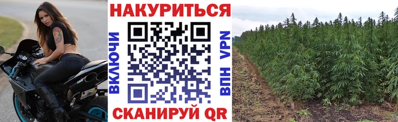 Бошки Шишки VHQ наркотики Багратионовск